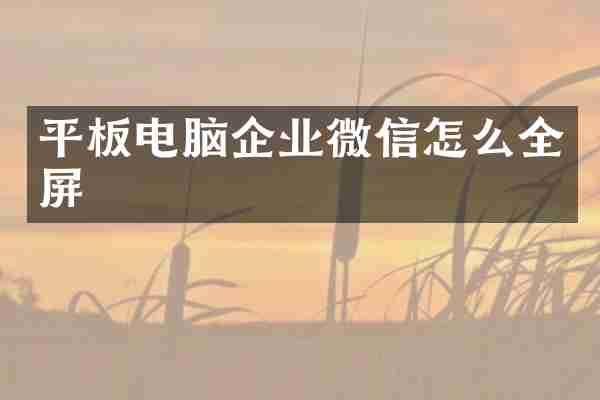 平板电脑企业微信怎么全屏