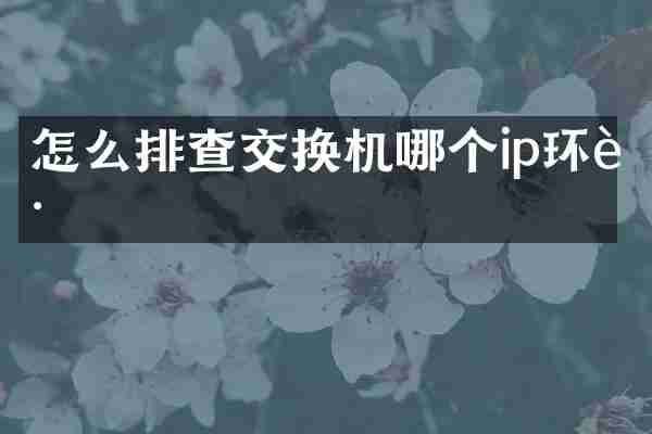 怎么排查交换机哪个ip环路