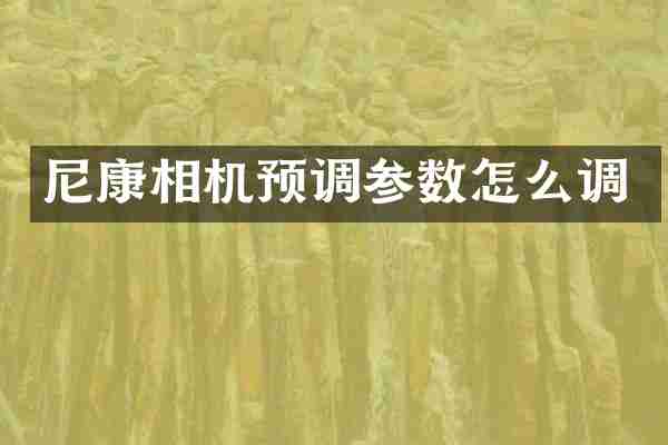 尼康相机预调参数怎么调