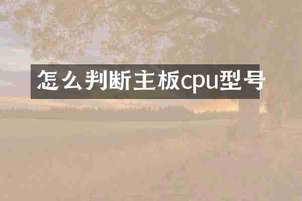 怎么判断主板cpu型号