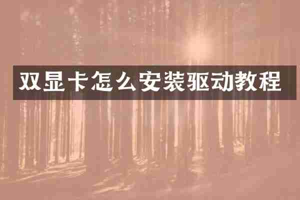 双显卡怎么安装驱动教程