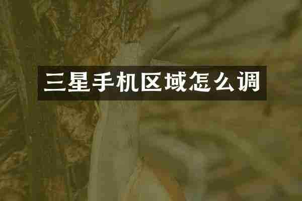 三星手机区域怎么调