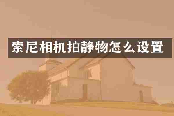 索尼相机拍静物怎么设置