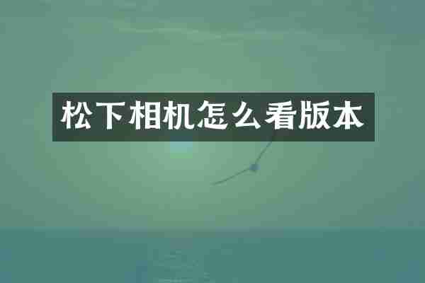 松下相机怎么看版本