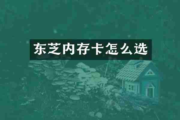 东芝内存卡怎么选