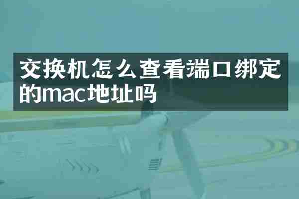交换机怎么查看端口绑定的mac地址吗