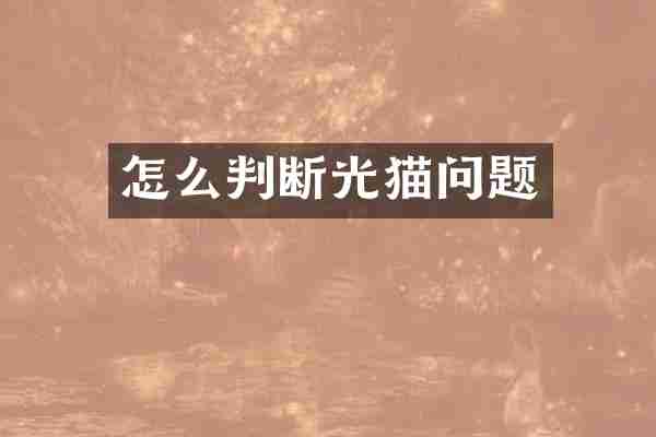 怎么判断光猫问题