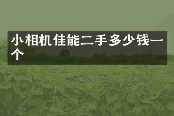 小相机佳能二手多少钱一个