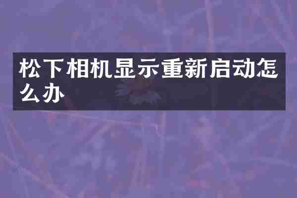松下相机显示重新启动怎么办