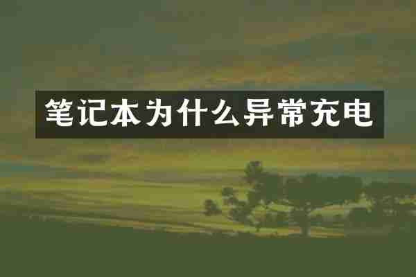 笔记本为什么异常充电