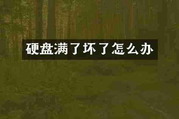硬盘满了坏了怎么办
