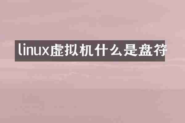 linux虚拟机什么是盘符