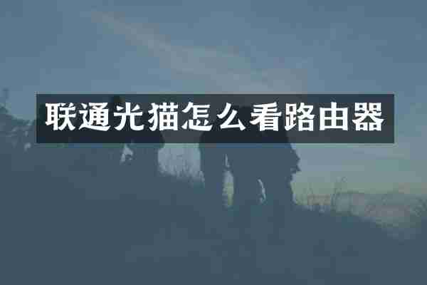联通光猫怎么看路由器