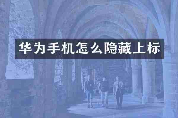 华为手机怎么隐藏上标