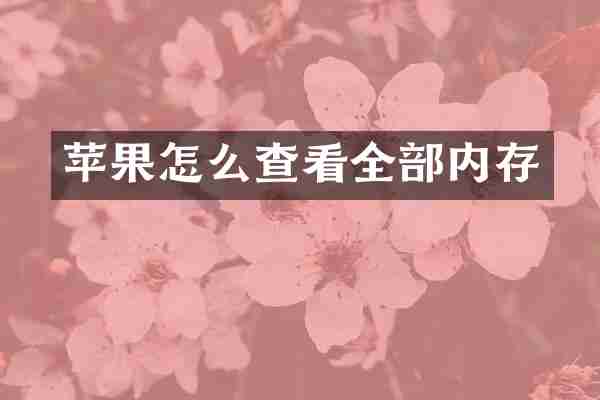 苹果怎么查看全部内存