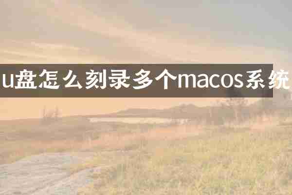 u盘怎么刻录多个macos系统