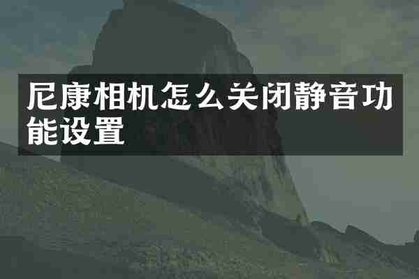 尼康相机怎么关闭静音功能设置
