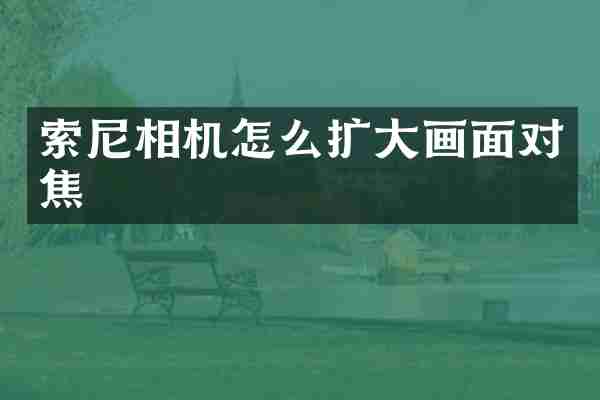 索尼相机怎么扩大画面对焦