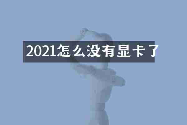 2021怎么没有显卡了