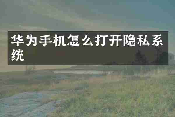 华为手机怎么打开隐私系统