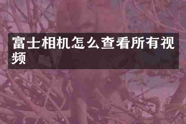 富士相机怎么查看所有视频