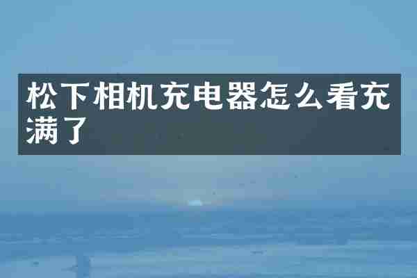 松下相机充电器怎么看充满了
