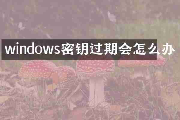 windows密钥过期会怎么办