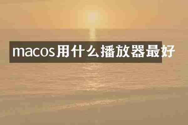 macos用什么播放器最好