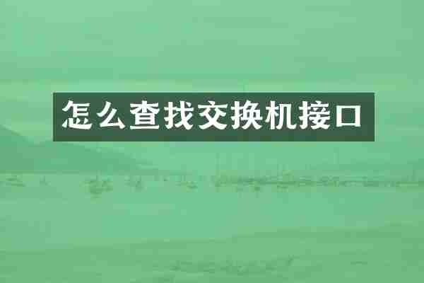 怎么查找交换机接口