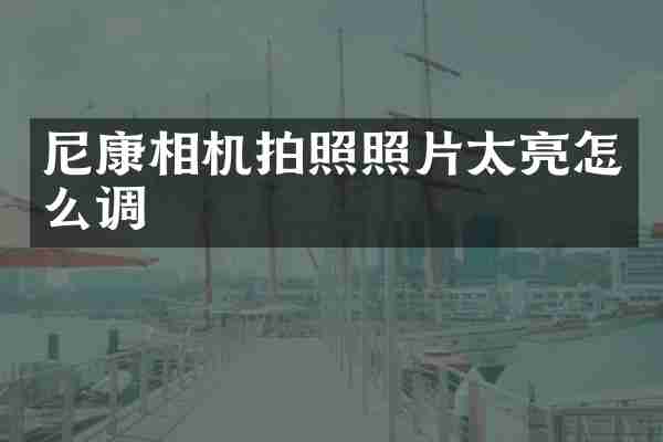 尼康相机拍照照片太亮怎么调