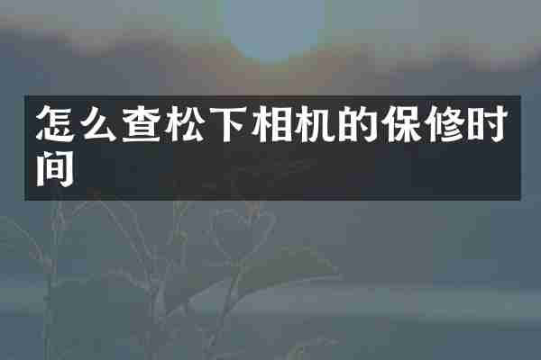 怎么查松下相机的保修时间