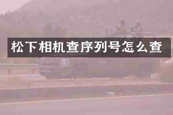 松下相机查序列号怎么查