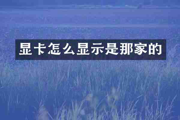 显卡怎么显示是那家的