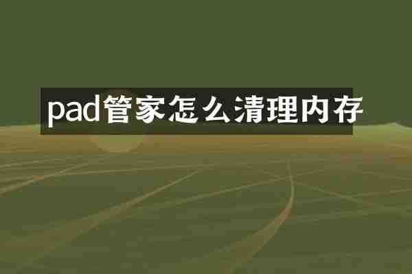 pad管家怎么清理内存