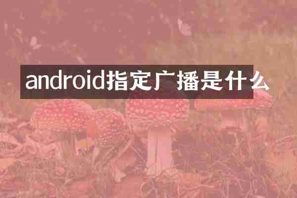 android指定广播是什么
