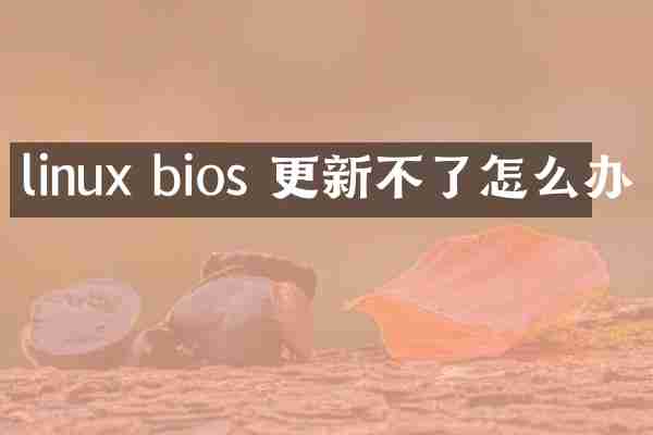 linux bios 更新不了怎么办