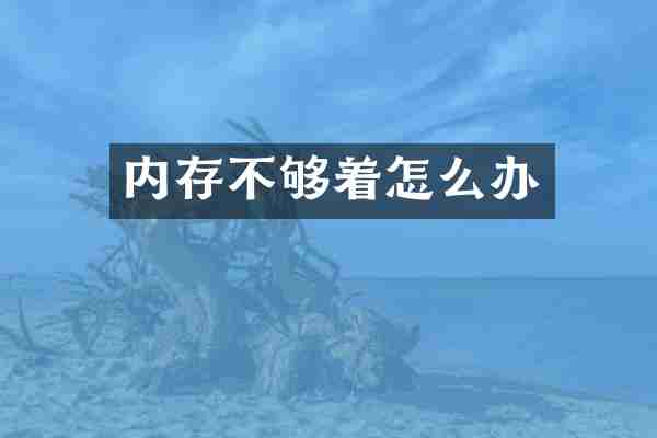 内存不够着怎么办