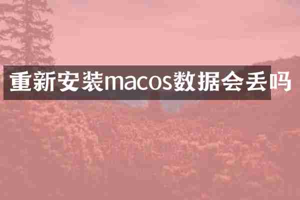 重新安装macos数据会丢吗