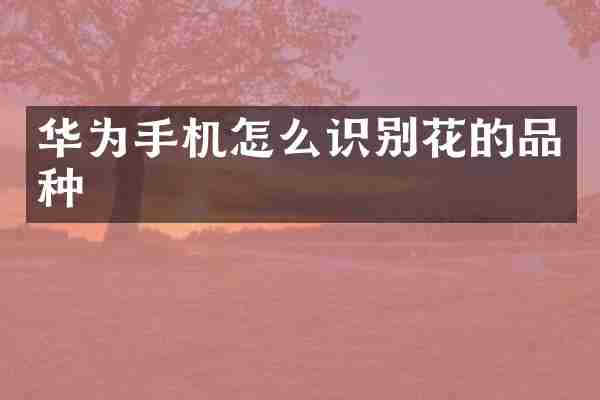 华为手机怎么识别花的品种