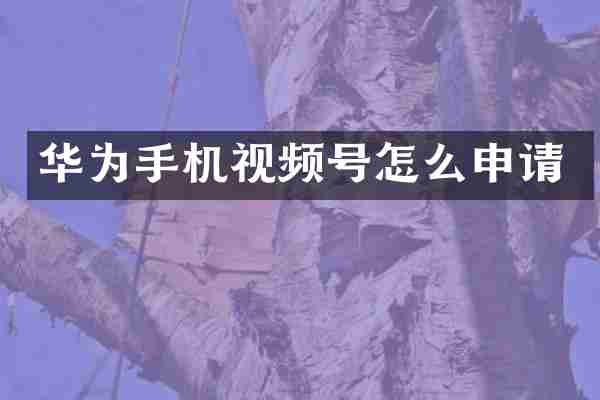 华为手机视频号怎么申请