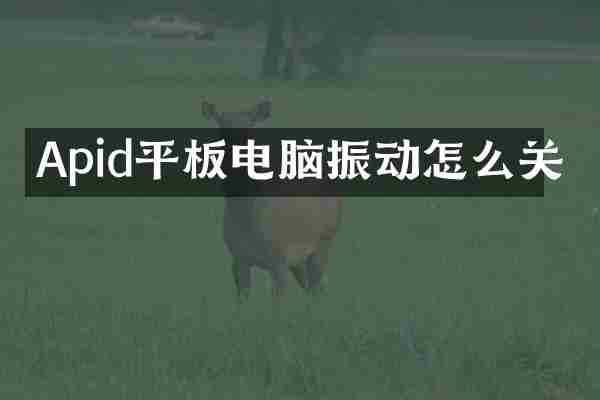 Apid平板电脑振动怎么关