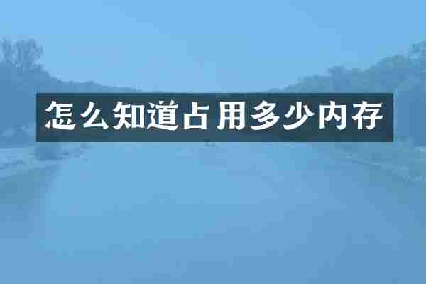 怎么知道占用多少内存