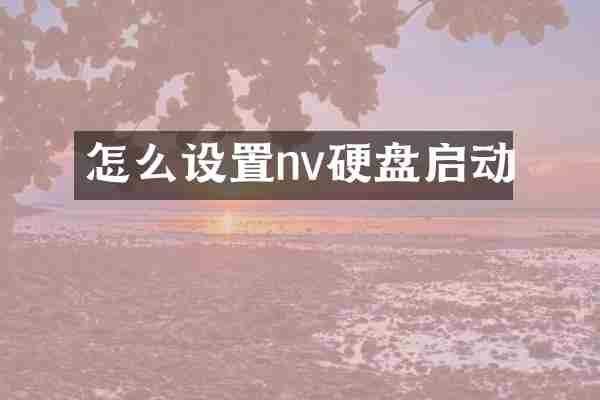 怎么设置nv硬盘启动