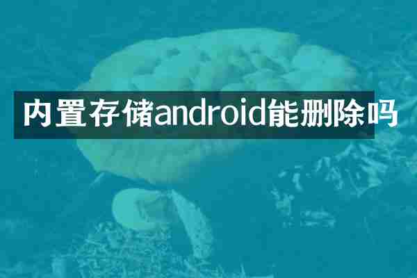 内置存储android能删除吗