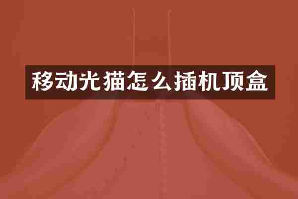 移动光猫怎么插机顶盒