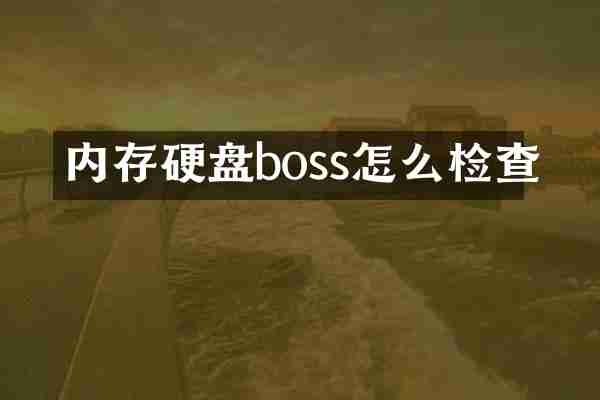 内存硬盘boss怎么检查