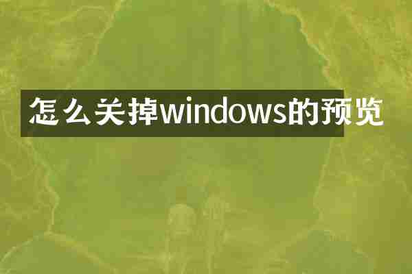 怎么关掉windows的预览
