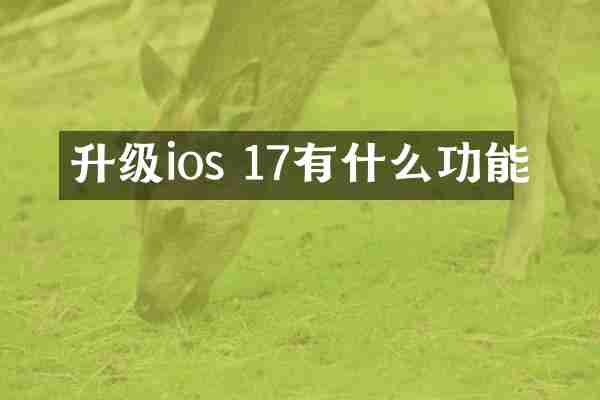 升级ios 17有什么功能