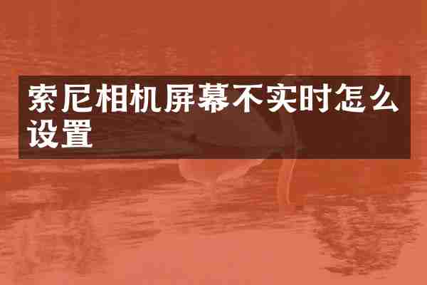 索尼相机屏幕不实时怎么设置