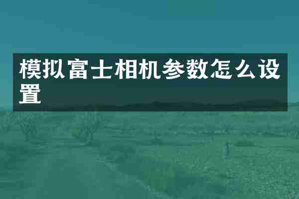 模拟富士相机参数怎么设置